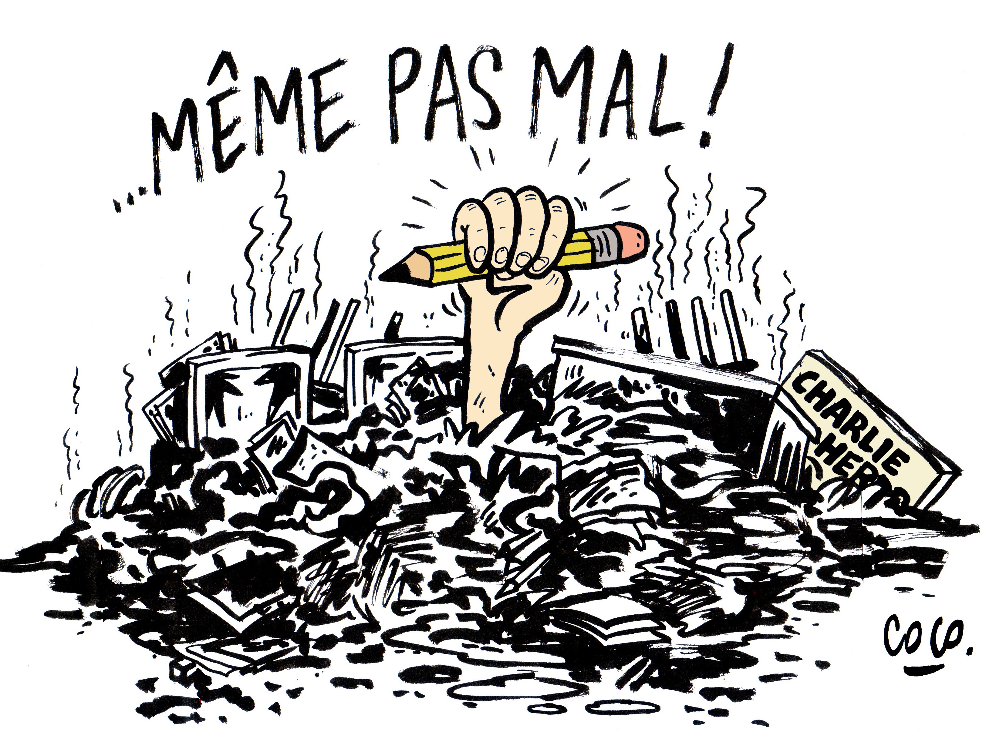 Pas le meme. Карикатуры журнала Шарли Эбдо на Макрона.
