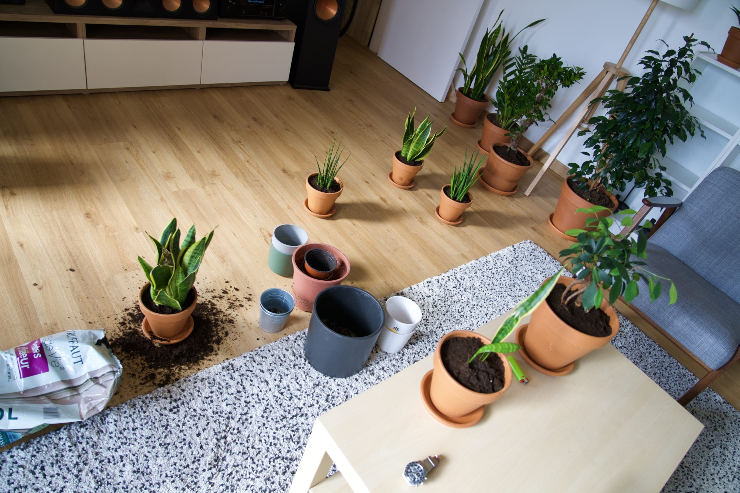 Essayez de privilégier les pots en terre cuite pour vos plantes d'intérieur